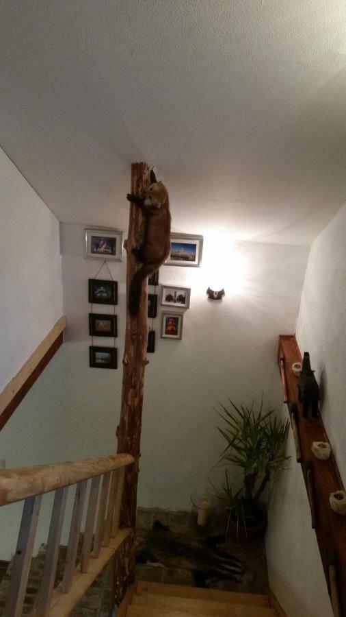 Zum Jaegerstuebchen Bad Honnef Екстериор снимка